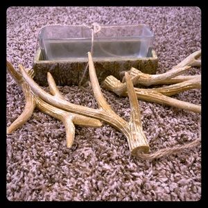 Small glass vase with deer antlers